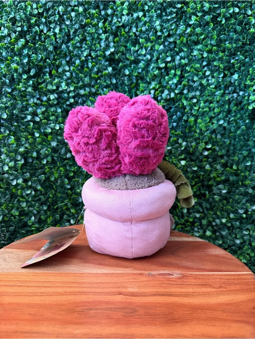 Greenhouse by Russ Margo the Succulent 12” Plush